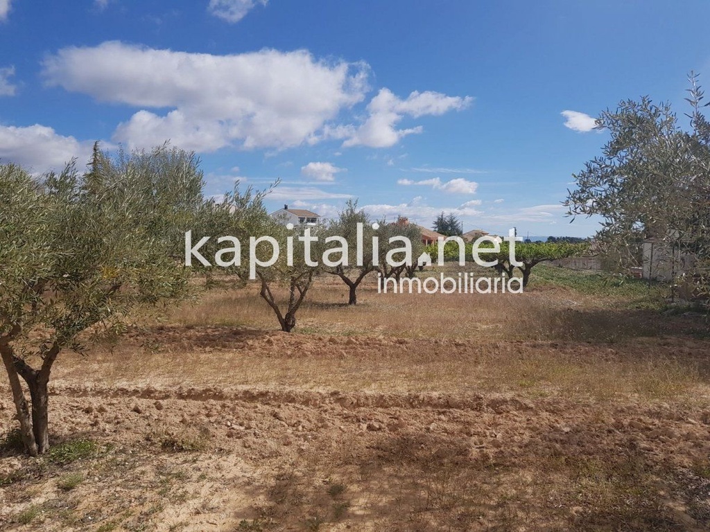 Land for development, close to urbanisation el pilar.