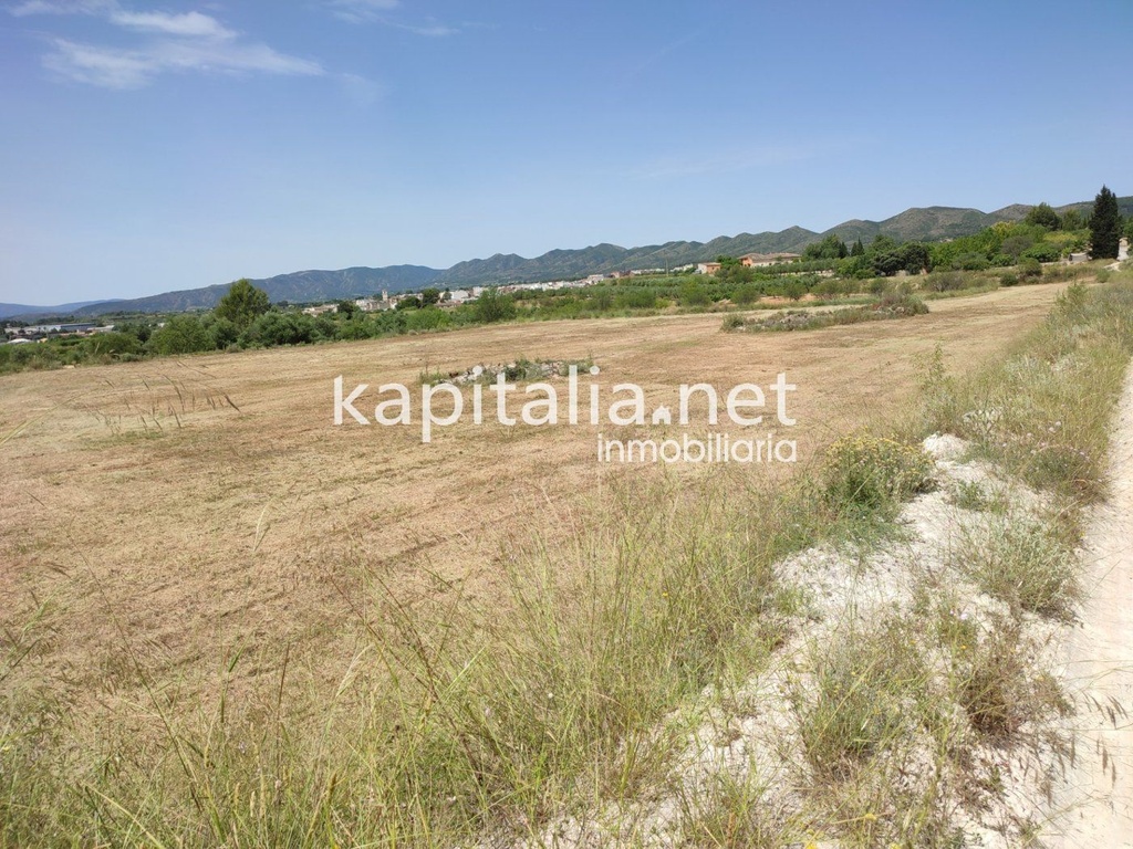 TERRAIN NON URBAIN À VENDRE À L'OLLERIA.