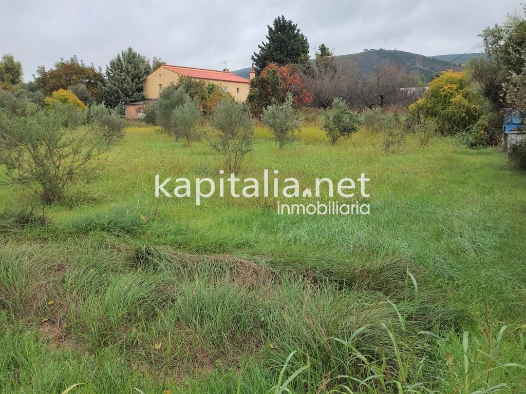 TERRAIN POUR JARDIN POTAGER À VENDRE SITUÉ À EL LLOMBO.