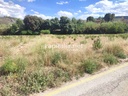 TERRAIN À VENDRE À ONTINYENT, SITUÉ DANS LA ZONE DE LLOMBO.