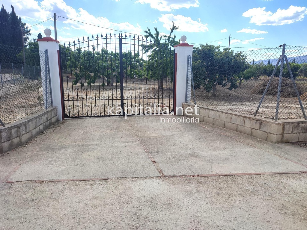 TERRAIN À VENDRE À ONTINYENT SITUÉ DANS LA ZONE DE EL LLOMBO.