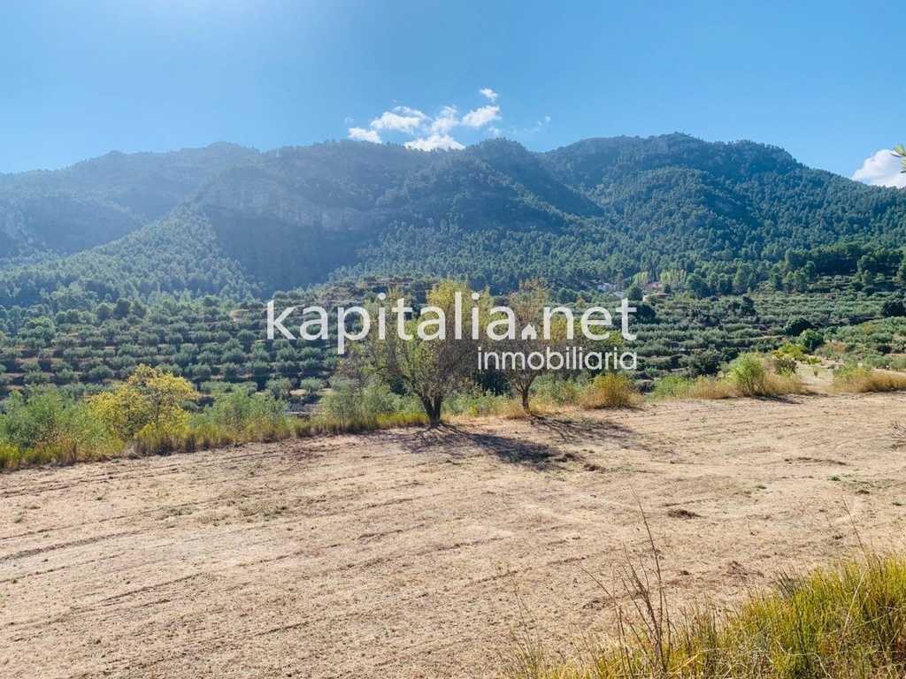 Plot for sale in Alfafara.