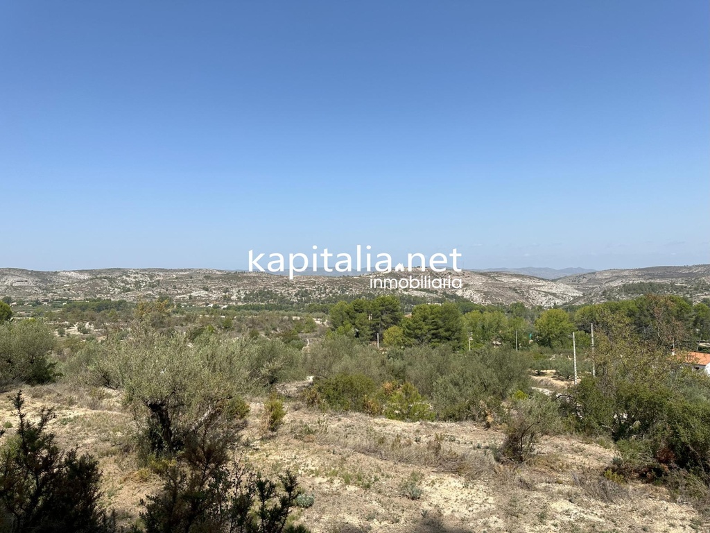 PLOT FOR SALE IN BOCAIRENT