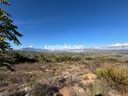 Finca de cerezos en Almudaiana