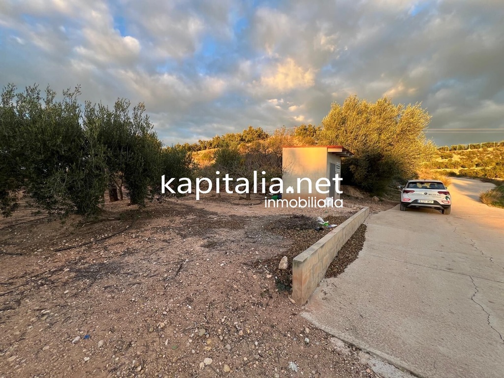 AGRICULTURAL LAND FOR SALE IN ROTGLA CORBERA