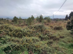 LAND FOR VEGETABLE GARDEN FOR SALE LOCATED IN EL LLOMBO.