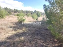 UNDEVELOPED LAND FOR SALE IN ONTINYENT, AREA OF TODOS LOS VIENTOS.