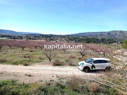 PLOTS FOR SALE IN THE TERMS OF ONTINYENT AND AGULLENT, AREA CALS XOPS, HOUSE ES CHOPS AND CAL CANONG