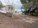 Finca with lots of land in Benilloba